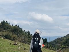 -武陵山森林公园