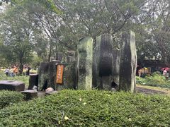 -海口火山口国家地质公园