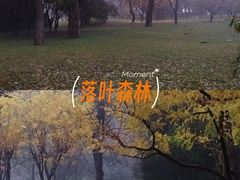 -天津水上公园