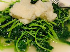 -皇朝会.经典传统粤菜(外滩店)