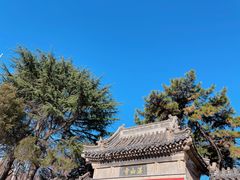 -湛山寺