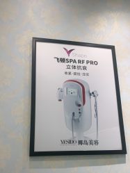 -YESIDO椰岛造型