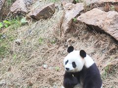 -宁波野生动物园