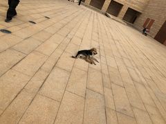 -盘龙城遗址博物院