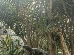 -南山植物园