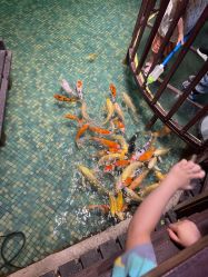 -酷嗒动物文化乐园(cutezoo西溪乐天城店)