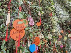 -宁波市保国寺古建筑博物馆