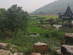 -龙寺生态园