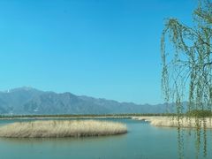 -野鸭湖国家湿地公园