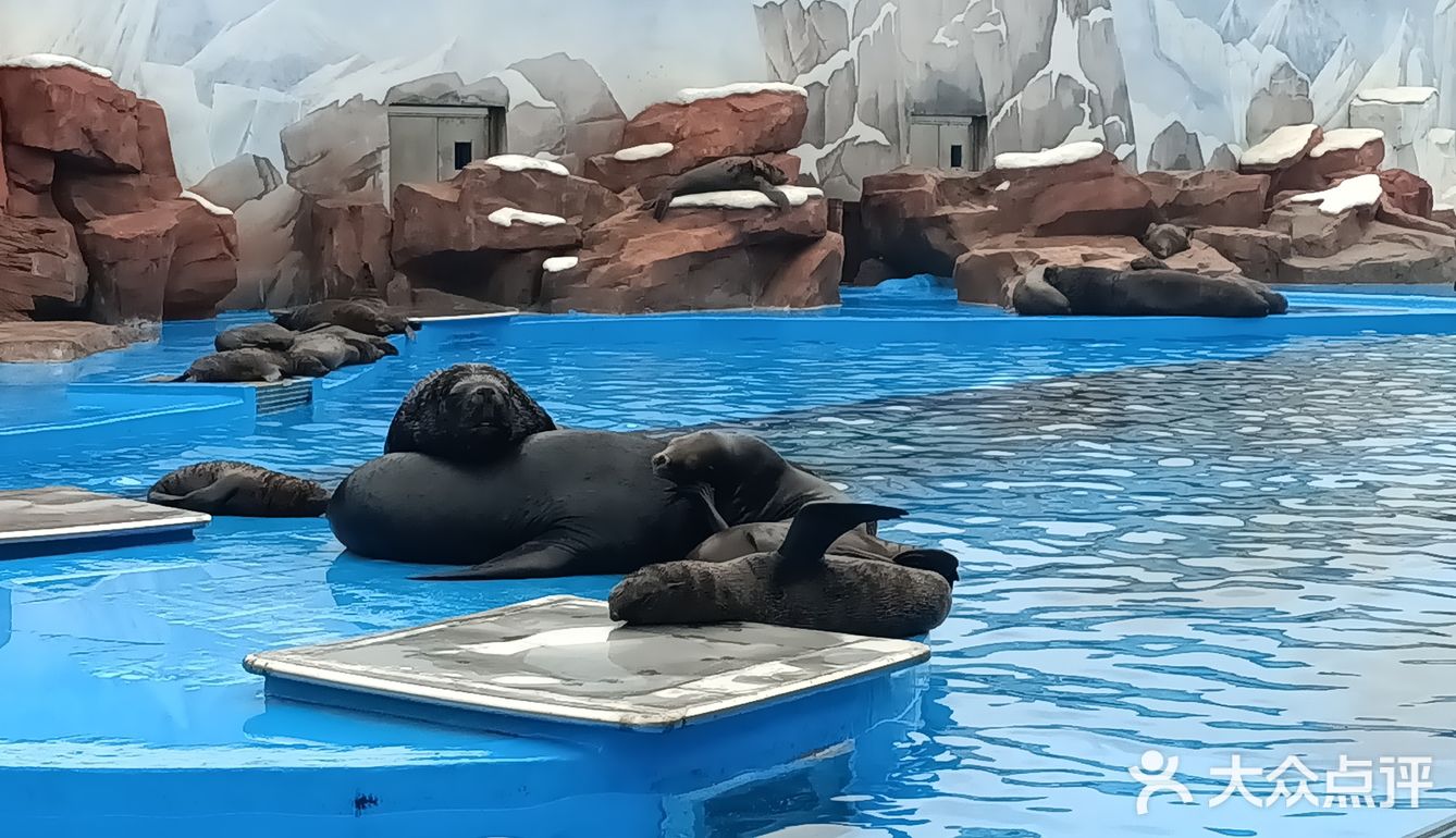 上海海昌海洋公园打卡