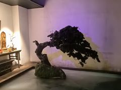 -觀芷隐轩
