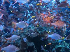 -成都浩海立方海洋公园