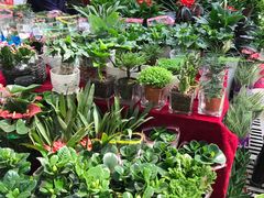 -秦美花卉(天朗·莱茵小城2期店)