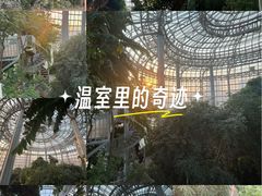 -郑州植物园
