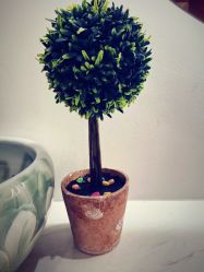 -Lily纤美·科技减脂中心