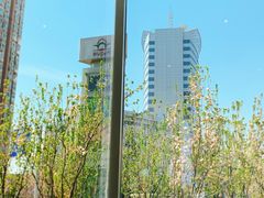 -星巴克(北京望京店)