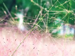 -钟山体育运动公园