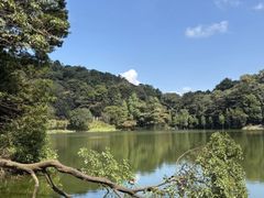 -广州市石门国家森林公园