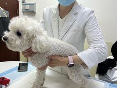 -美联众合动物医院·24h转诊中心