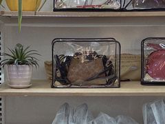 -爱革·奢品·鞋包·衣物·家居(博荟广场店)