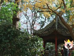 -秋霞圃