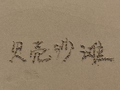 -贝壳沙滩