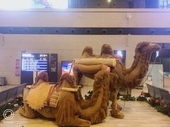 -敦煌莫高国际机场