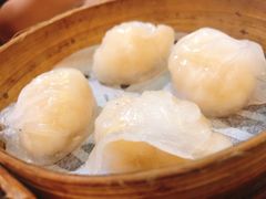 晶莹鲜虾饺-添好运点心专门店(北角店)