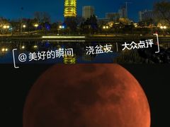 -西海子公园