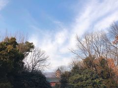 -灵谷景区