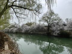 -国家植物园