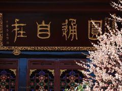 -青羊宫