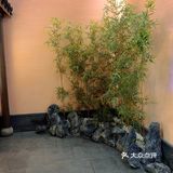 江南水乡 味道挺好