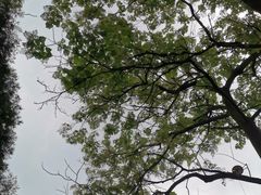 -重庆雨台山风景区