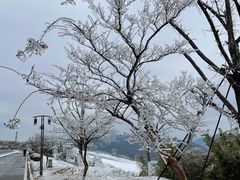 -江南天池