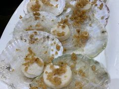 仙贝蒸粉丝-骑龙海鲜酒家