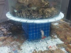 -大锅强·蒸海鲜青岛菜(吾悦广场店)