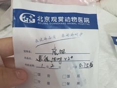 -北京观赏动物医院·24小时大型综合·猫专科·异宠专科
