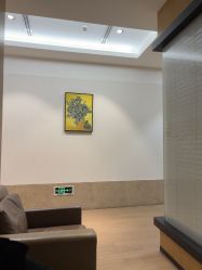 -上海薇琳医疗美容医院