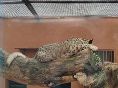 -青藏高原野生动物园