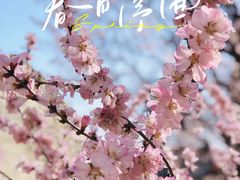 -北京明城墙遗址公园