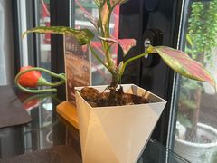 -EATALIA意塔利意式餐厅(鼓楼店)