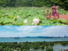 -苏州东太湖生态园