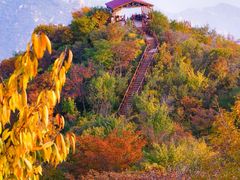 -大岭沟猕猴桃谷风景区
