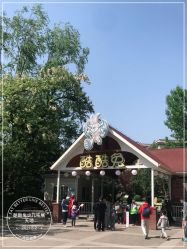 -酷酷兔少儿拓展天地