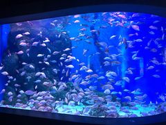 -成都浩海立方海洋公园