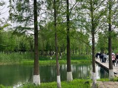 -南北湖风景区