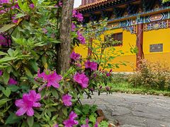 -宝通禅寺