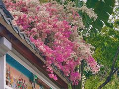 -深圳国际园林花卉博览园