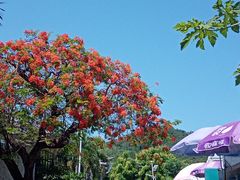 -三亚西岛海洋文化旅游区
